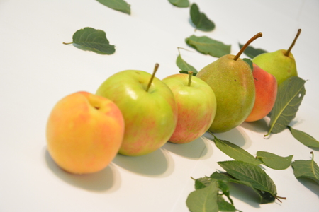 Apple, pear and peachの写真素材