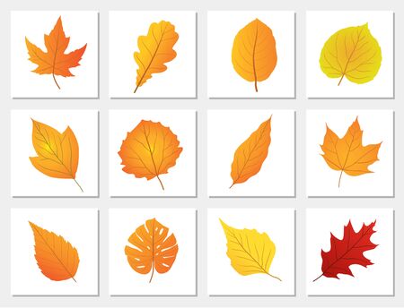 set of autumn leaves vector illustrationのイラスト素材