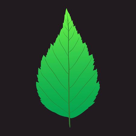 set of fluid banner background, fluid template designの写真素材