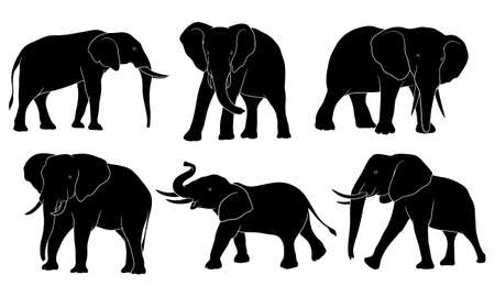 hand drawn silhouette of elephantのイラスト素材
