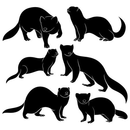 hand drawn silhouette of ferretsのイラスト素材