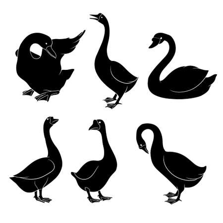 hand drawn silhouette of gooseのイラスト素材