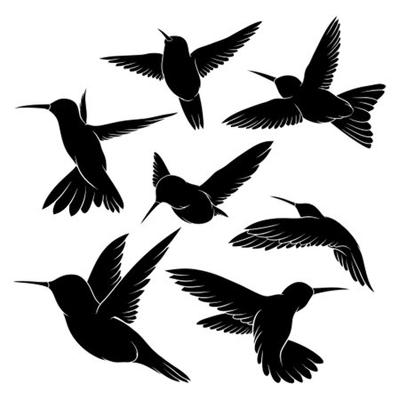 hand drawn silhouette of hummingbirdのイラスト素材