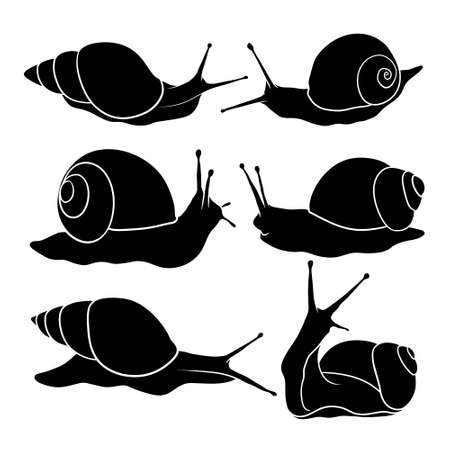 hand drawn silhouette of snailのイラスト素材