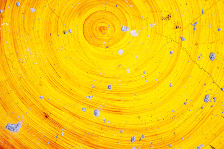 Like tree annual rings yellow spiral abstractionの写真素材