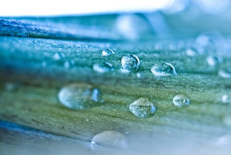 Abstract water drop on flower fresh colorの写真素材