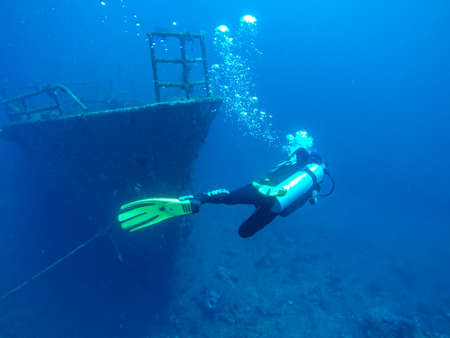 Diverのeditorial素材