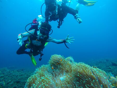 divingのeditorial素材