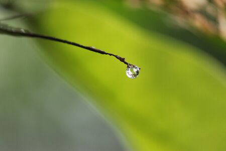 drop of waterの写真素材