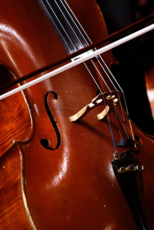 closeup part of celloの写真素材