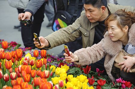 CHENGDU - FEB 7: A couple is shooting photos of tulips on a busy pedestrian shopping street in downtown during chinese new year on Feb 7, 2011 in Chengdu, China.のeditorial素材