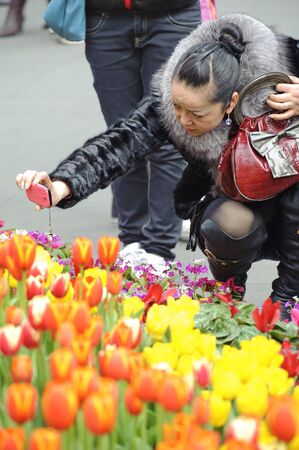 CHENGDU - FEB 7: A woman is shooting photos of tulips on a busy pedestrian shopping street in downtown during chinese new year on Feb 7, 2011 in Chengdu, China.のeditorial素材