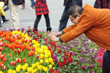 CHENGDU - FEB 7: A man is shooting photos of tulips on a busy pedestrian shopping street in downtown during chinese new year on Feb 7, 2011 in Chengdu, China.のeditorial素材