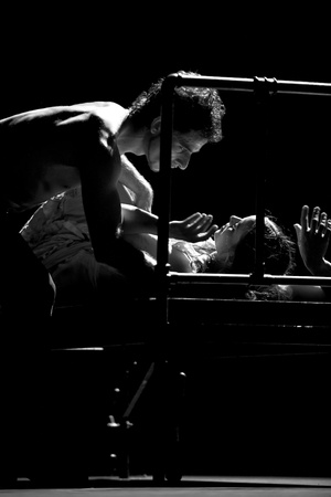 CHENGDU - DEC 28: The Best Flamenco Dance Drama Carmen performed by The Ballet Troupe of Spanish Rafael Aguilar at JINCHENG theater Dec 28, 2008 in Chengdu, China.The Ballet Teatro Espanol de Rafael Aguilar.のeditorial素材