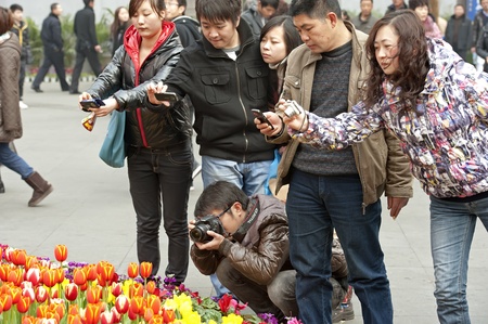 CHENGDU - FEB 7: People were shooting photos of tulips on a busy pedestrian shopping street in downtown during chinese new year on Feb 7, 2011 in Chengdu, China.のeditorial素材