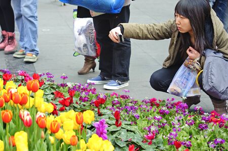 CHENGDU - FEB 7: A girl is shooting photos of tulips on a busy pedestrian shopping street in downtown during chinese new year on Feb 7, 2011 in Chengdu, China.のeditorial素材