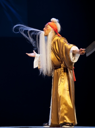 CHENGDU - JUN 5: chinese Sichuan opera performer make a show on stage to compete for awards in 25th Chinese Drama Plum Blossom Award competition at Chongzhou theater.Jun 5, 2011 in Chengdu, China.
Chinese Drama Plum Blossom Award is the highest theatricalのeditorial素材