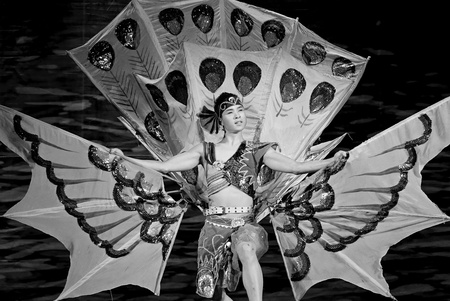CHENGDU - DEC 12: chinese Dai ethnic dancer performs folk dance on stage at JINCHENG theater in the 7th national dance competition of china on Dec 12,2007 in Chengdu, China.のeditorial素材