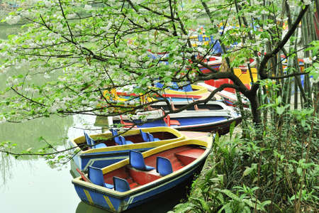 Boat on the pondの写真素材