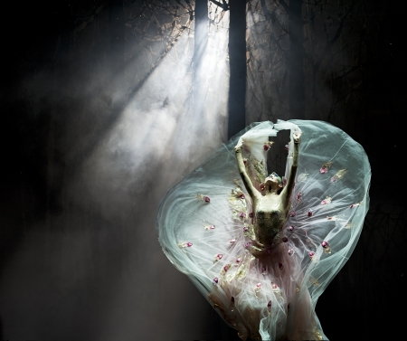 CHENGDU - SEP 23: chinese famous dancer Yang Liping performs Peacock Dance on stage at Jincheng theater.Sep 23, 2012 in Chengdu, China.のeditorial素材