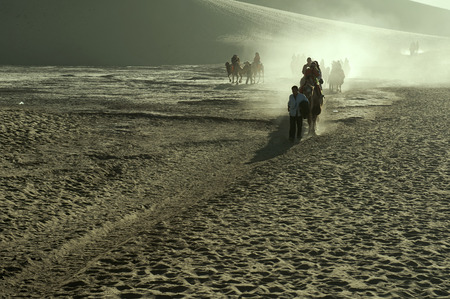 The camel train in the desertのeditorial素材
