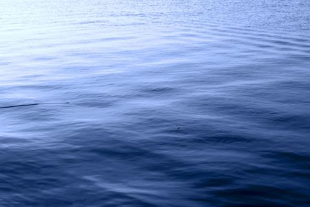 Light waves at sea. Rod and float in waterの写真素材