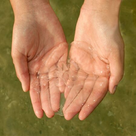 The small translucent jellyfish in women's handsの写真素材