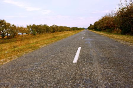 Rural roads covered with asphalt. Early autumnの写真素材