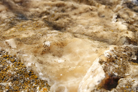 Mineral deposits on limestone partially covered with a lichen sprouted (I)