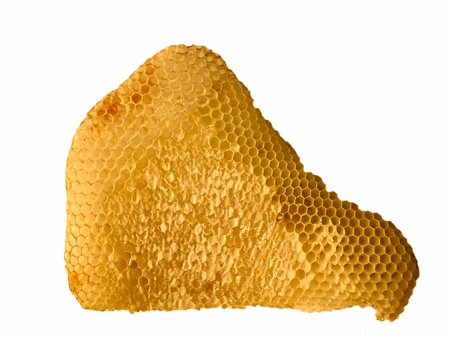 Honeycomb with honey isolated on a white backgroundの写真素材