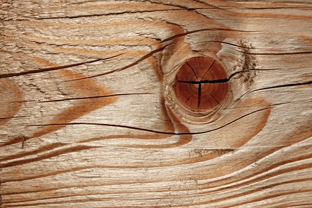 Structure macro of new wooden cutting boardの写真素材