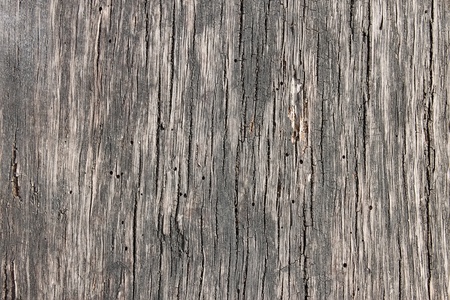 Structure of old dark wooden board. Close Upの写真素材