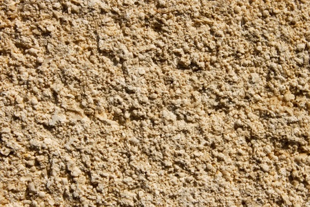 Cut limestone detail close-ups of ancient fossilized skeletons of mollusksの写真素材