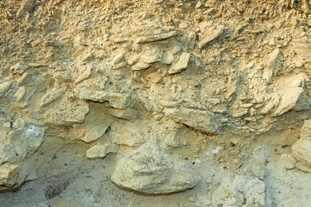 Geological section with small scattered limestone stonesの写真素材