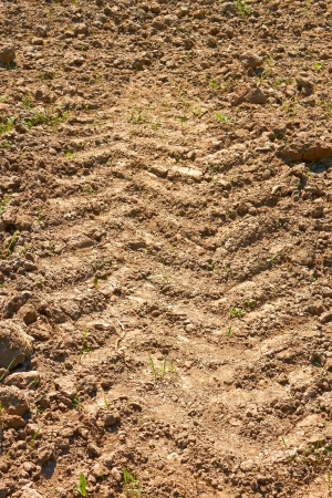 Tractor wheels traces on dried agricultural soilの写真素材