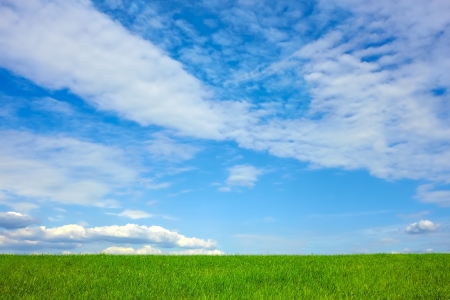 Beautiful bright green cloudscape over wheat field in early summerの写真素材