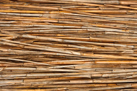 Detail of reed fence as a textureの写真素材