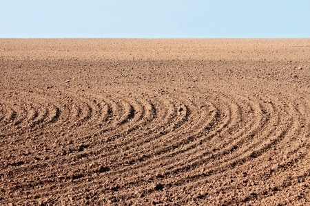 Rural landscape with parallel curved furrows on autumn field that prepared for the next seasonの写真素材