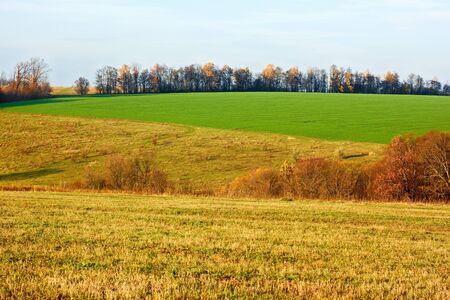 Autumn rural landscape. Meadows and sown cereals green field in setting sun beamsの写真素材
