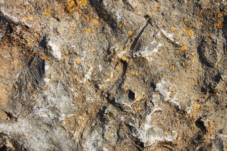 Fragment of stone surface rarely covered with petty lichenの写真素材