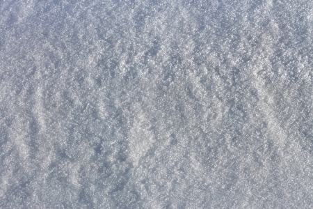 Texture of the snow with a bluish gleamの写真素材