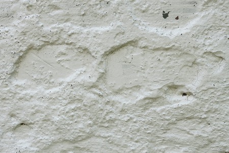 Fragment of old concrete wall whitewashed with limeの写真素材