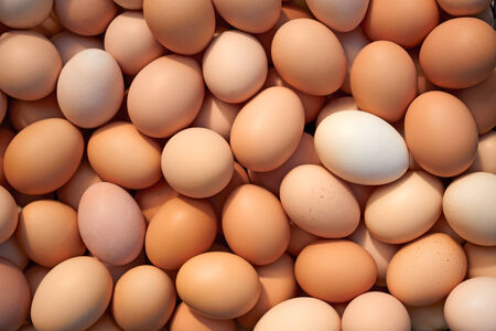 Big pile of randomly stacked raw chicken eggsの写真素材