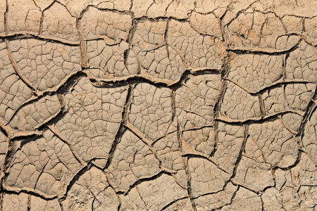 Many cracks in the dried soil in arid season as a texture の写真素材