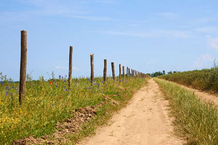 Row of wooden columns on roadside of the rural dirt road in a lovely summertimeの写真素材