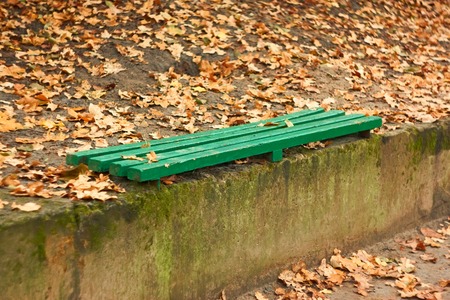 Simple green wooden bench on a concrete border among autumn leavesの写真素材