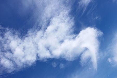 Abstract weird white clouds, resembling a giant bird against the blue skyの写真素材