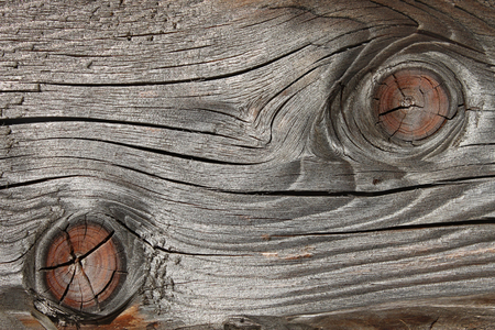 Fragment of old wooden weathered board with annual rings, cracked and faded surface, close upの写真素材