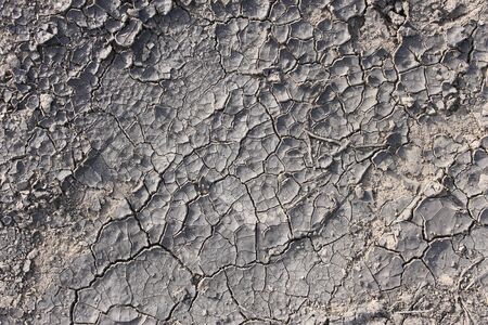 Dried cracked soil in hot sunny weather as a textureの写真素材