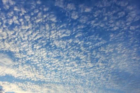 Altocumulus clouds on whole sky as a textureの写真素材